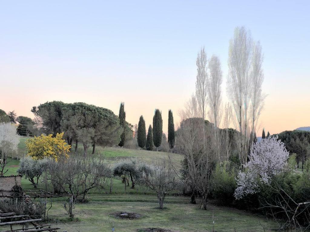 Il Maestro e l'Innamorata Sutri Esterno foto